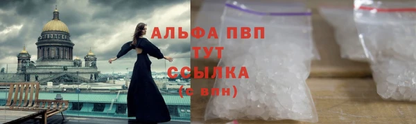 СК Няндома