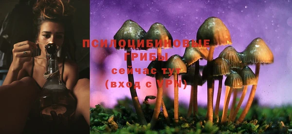СК Няндома
