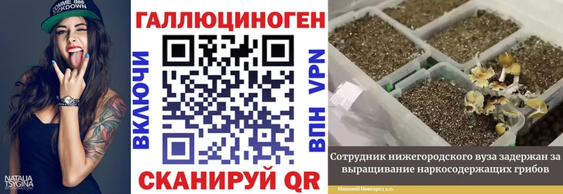 Галлюциногенные грибы Psilocybe  Купить закладки  Игарка 